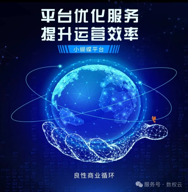 消费投资与消费数据投资：差异显著的投资路径