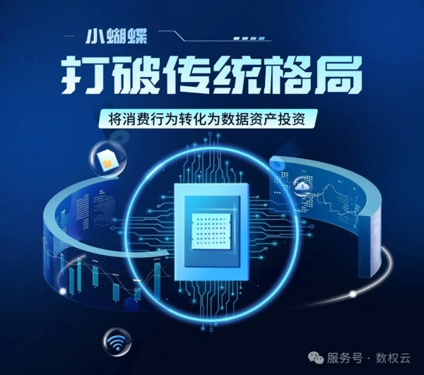 消费投资与消费数据投资：差异显著的投资路径